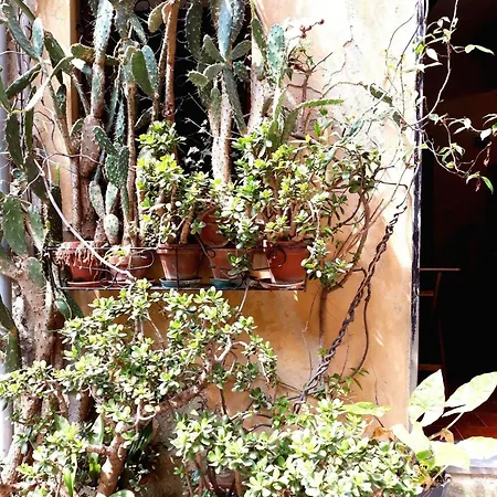 Ca Du Paraxo Apartamento *
